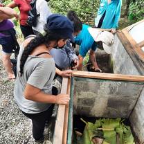 Preparation of microorganisms 