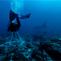 Biodiversity mapping at Manta Point at the Penida Project