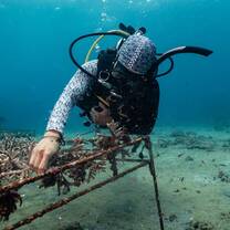 Coral nurseries at the Penida Project with Ocean Gardener and Reeflex Divers