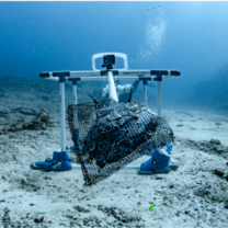 Baited Remote Underwater Video (BRUV) a key tool in our ecological monitoring strategy
