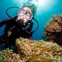 student in full scuba diving gear swimming underwater near an anemone in the Great Barrier Reef
