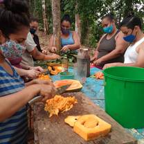 Make compost and prepare organic fertilizers