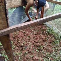 Help build and prepare planting beds