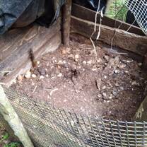 Help build and prepare planting beds