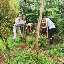 Volunteers planting vegetables