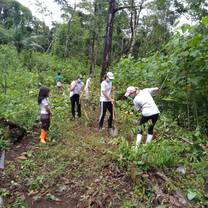 Preparing the land for planting
