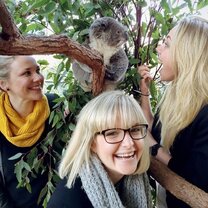 Have breakfast with koalas