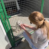 Volunteering in Croatia with IVHQ