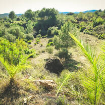a new eco system