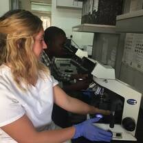 A medical intern working in a lab at a hospital 