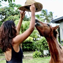 Feeding a horse in Fiji