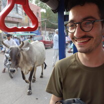 Tuk tuk in style and share the road traveller in a tuk tuk with a goat behind