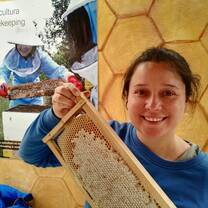 hives at bee farm ecuador