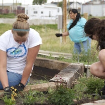 Group volunteering on the reservation Planting flowers and herbs