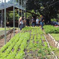 Farm Tour