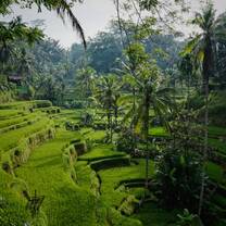 Bali Mini Semester
