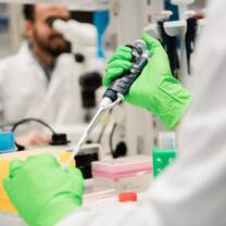 Study Abroad at Karolinska Institutet