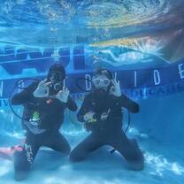 Shark Program
