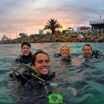 Shark Program