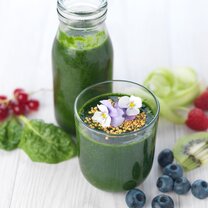 Gastronomy, Nutrition & Wellness