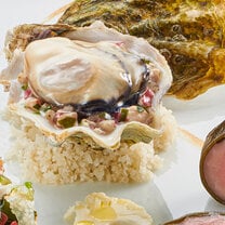 Gastronomy, Nutrition & Wellness