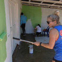 Painting A House