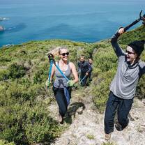 New Zealand Summer Program