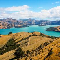 New Zealand Summer Program