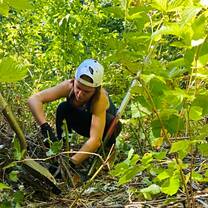 Forest restoration at Oxbow Farms