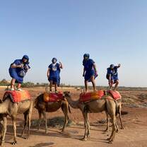 Lankey students enjoying a camel ride in Marrakech, Morocco 