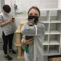Animal Welfare Volunteering
