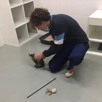 Animal Welfare Volunteering
