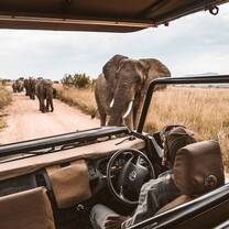 Park Drive, Masai Mara