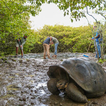 Projects Abroad volunteers clean a Giant Tortoise pool 