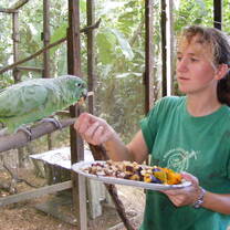 Projects Abroad Staff member feeds a parrot at the rescue center outside of Puerto Maldonado, Peru