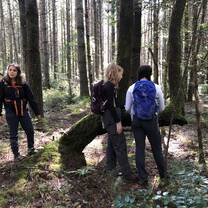 Orienteering in Dupont State Forest