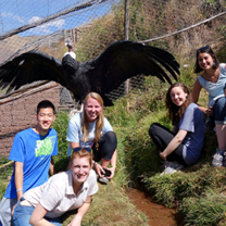 peru animal conservation volunteer abroad 