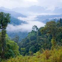 Gorgeous rainforest scenery on the Galapagos Islands where Projects Abroad is based in Ecuador