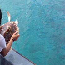 Releasing back to nature