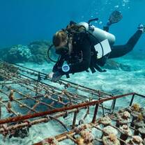 Interns growing and monitoring our coral nursery in Crystal Bay, Nusa Penida