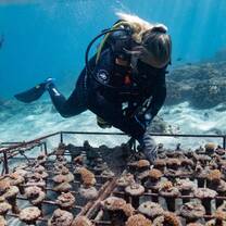 Interns growing and monitoring our coral nursery in Crystal Bay, Nusa Penida