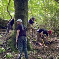 Volunteers preserving Scottish rainforest and ancient woodlands