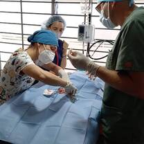 Surgical skills