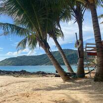 Trees on Thai beach live in Thailand