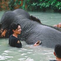 Premier TEFL paid Thailand internship woman washing elephant in water