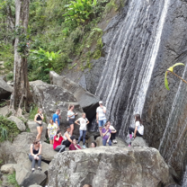 Visit to El Yunque National Rain Forest