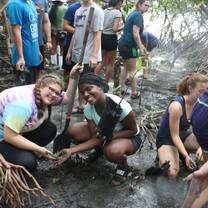 Students researching in Costa Rica