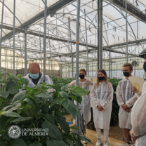 Students watching a pepper crop