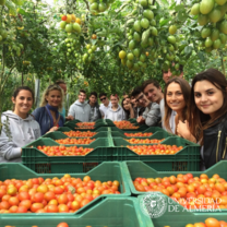 Students at an agricultural production company