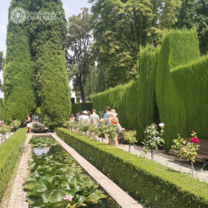 Students visiting Generalife Gardens at Alhambra Palace, Granada